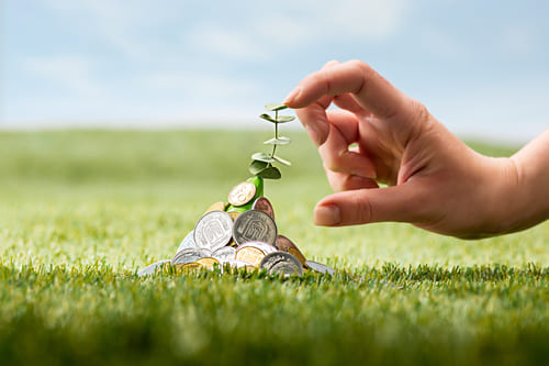 financial growth coins-grass