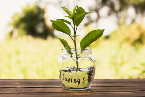 financial growth jar-with-savings-little-tree-inside