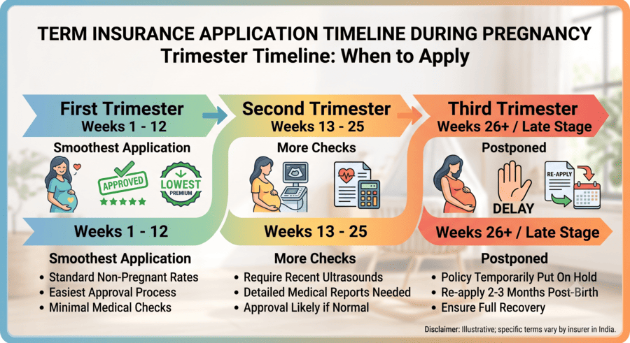 The Trimester Timeline When to Apply for Term Insurance